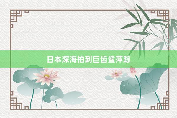 日本深海拍到巨齿鲨萍踪