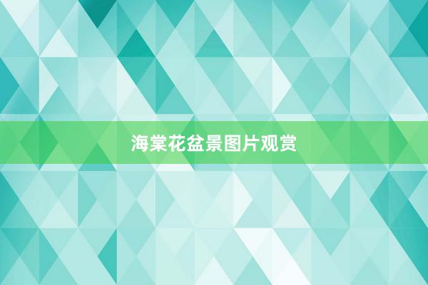 海棠花盆景图片观赏