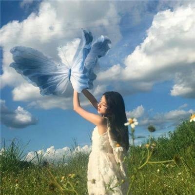 沙舟神秘事件