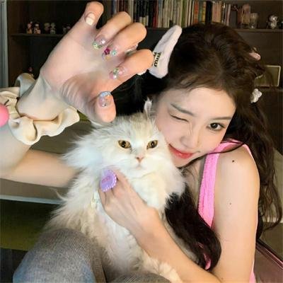猫贼