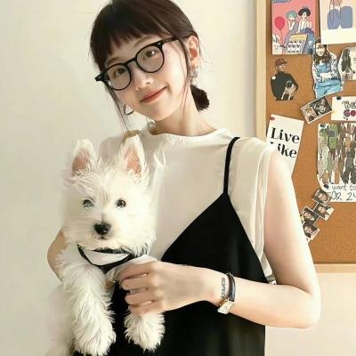 圣法兰斯传